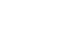 Vaillant Live
